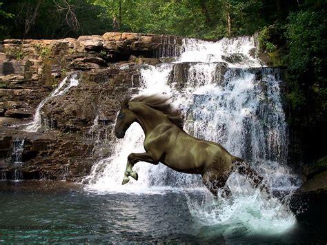 Horses Waterfall 